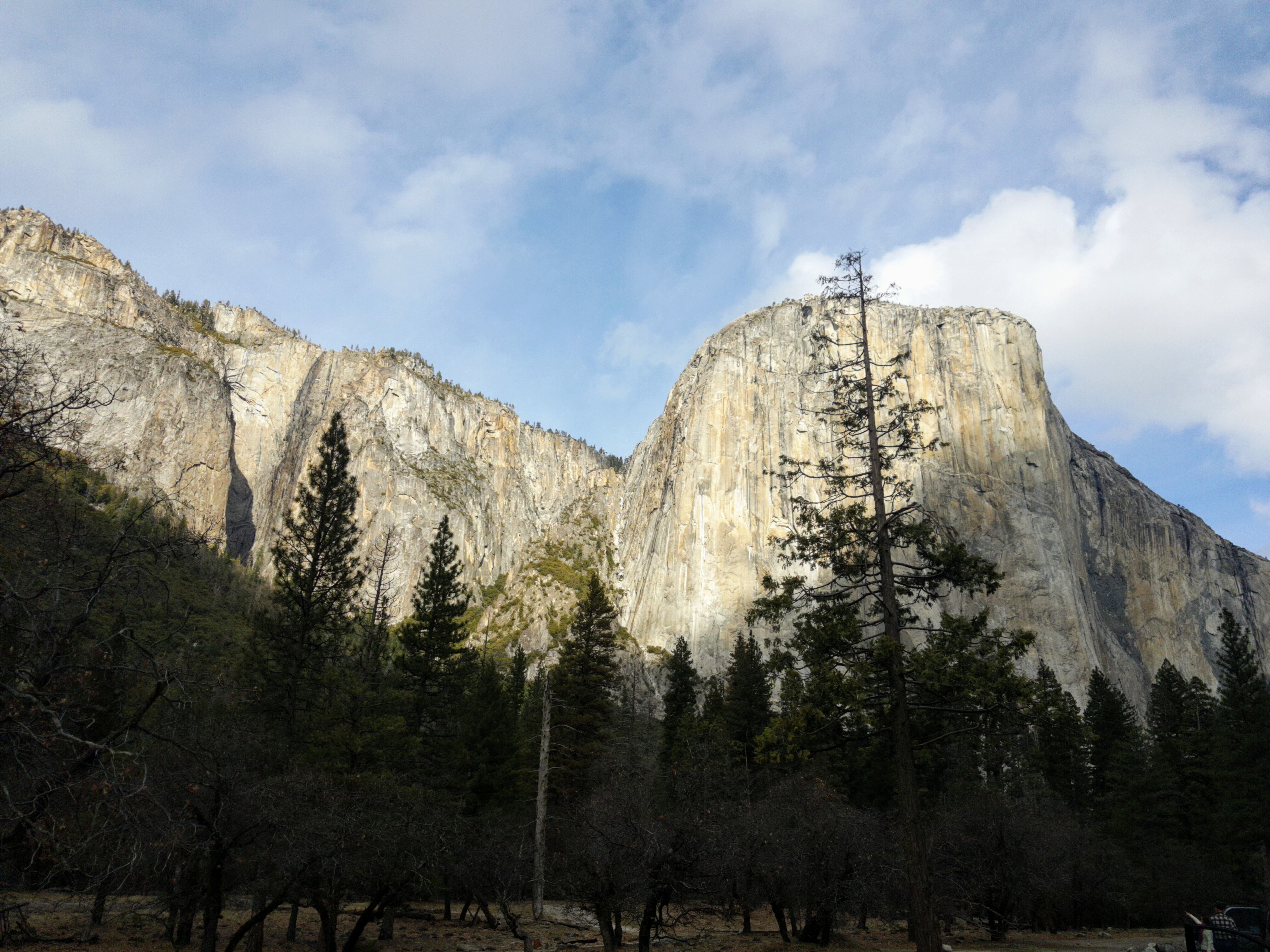 When the Galaxy S7 camera was behaving itself, this is as good as it got, and note flat image and the noise in the trees. This phone took worse pictures that the original Galaxy S!